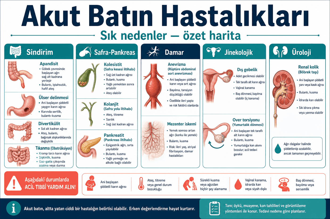 Hastalıklar