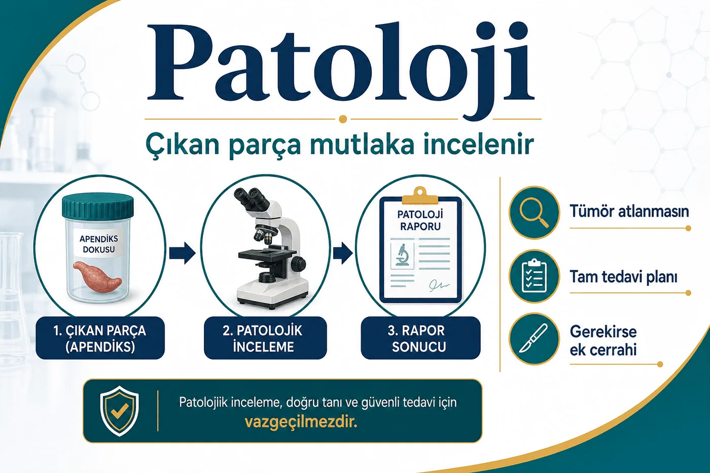 3D diagram: appendix pathology