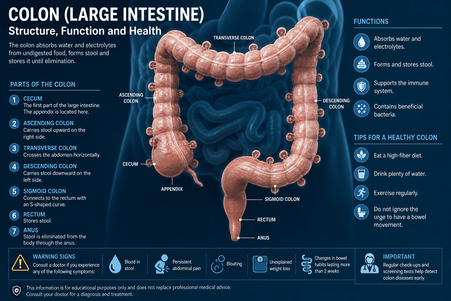 What diverticular disease is — educational figure