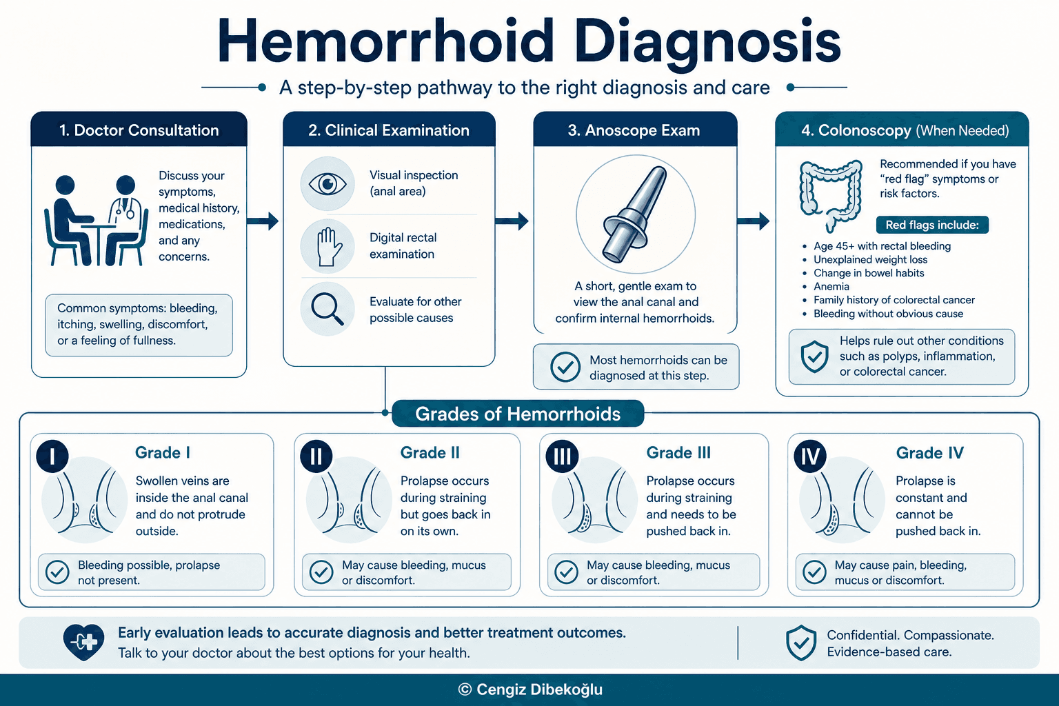 Hemorrhoid diagnosis — educational figure