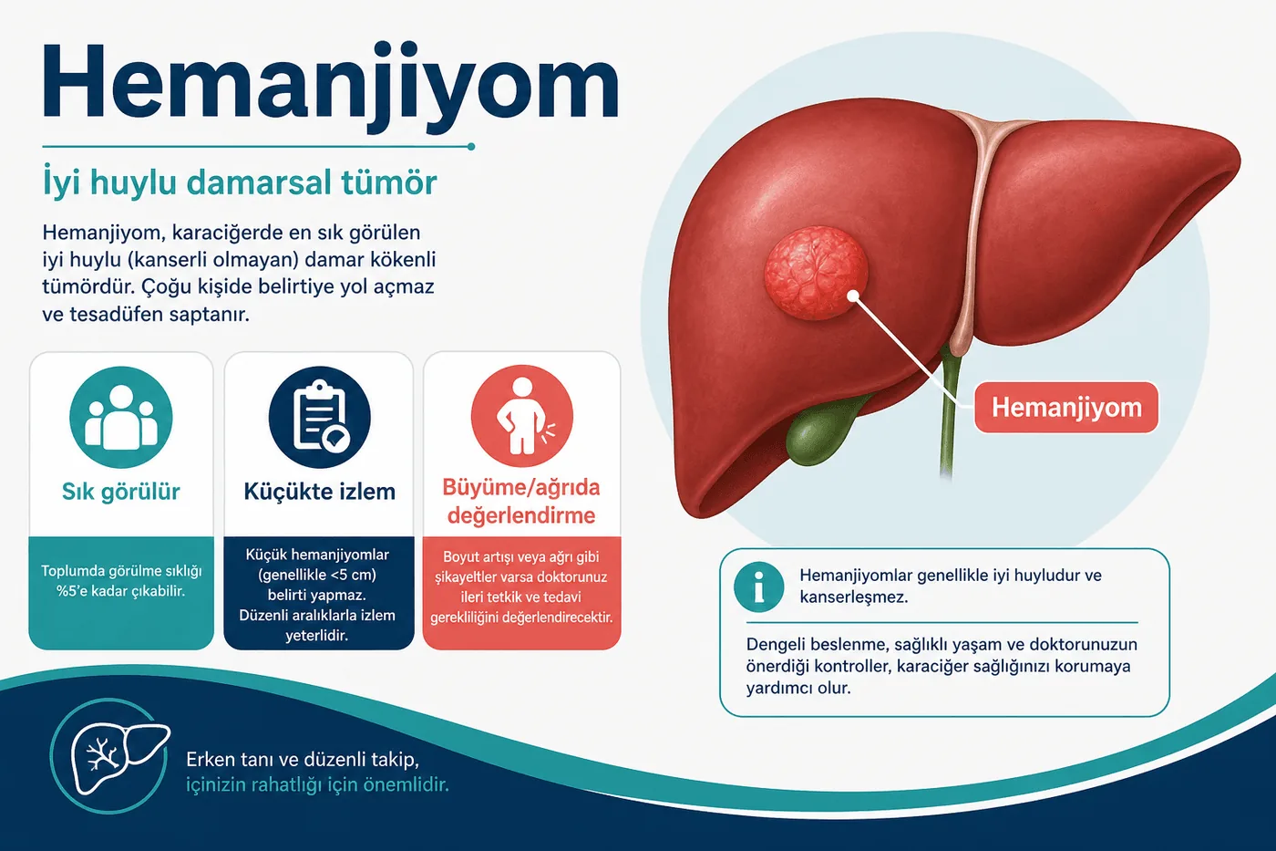 3D diagram: liver hemangioma