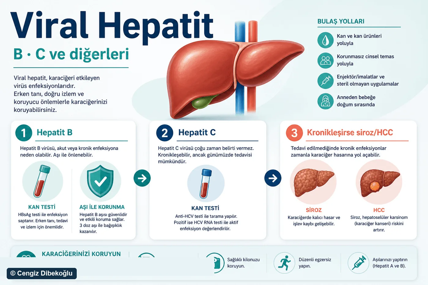 3D diagram: viral hepatitis