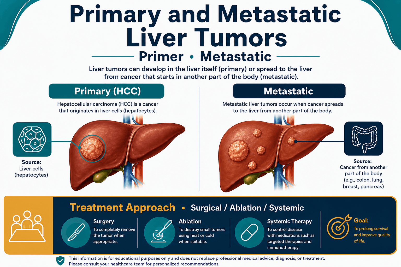 Liver tumors — educational figure