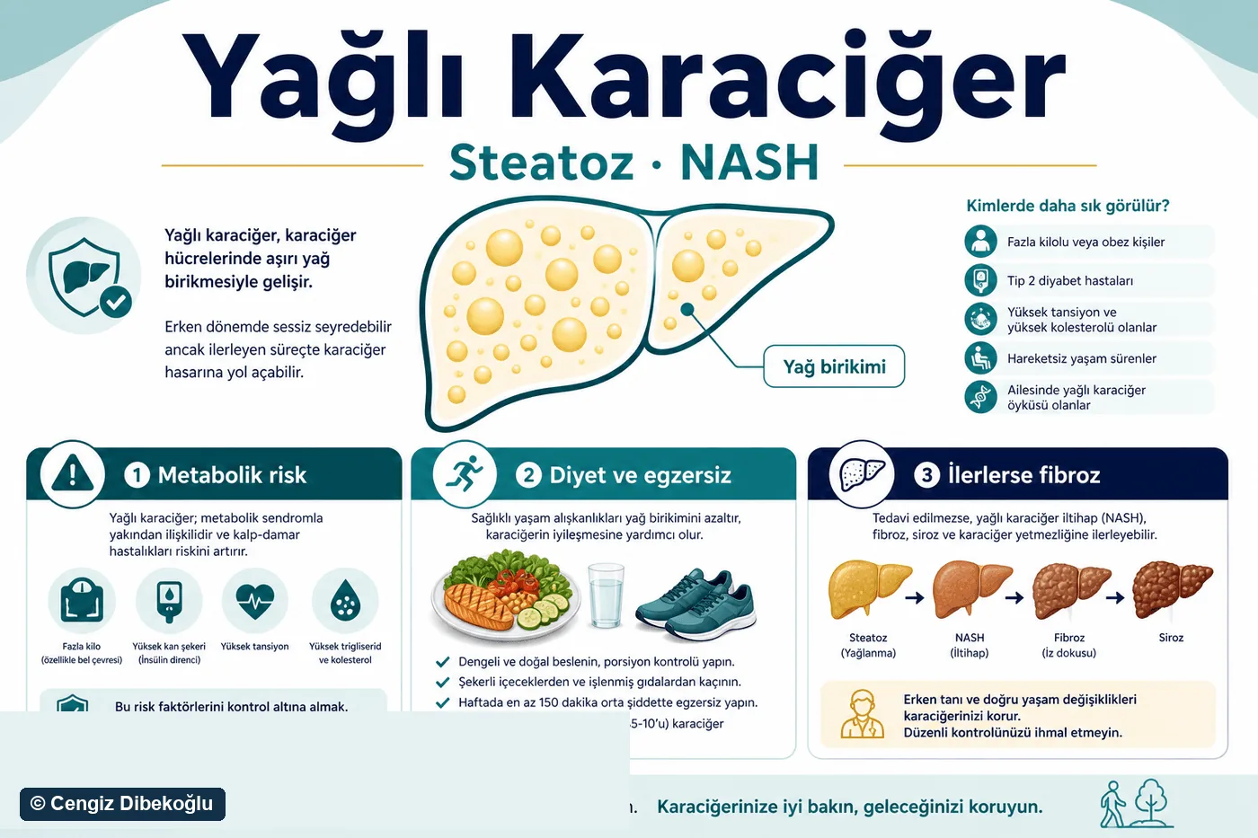 3D diagram: fatty liver