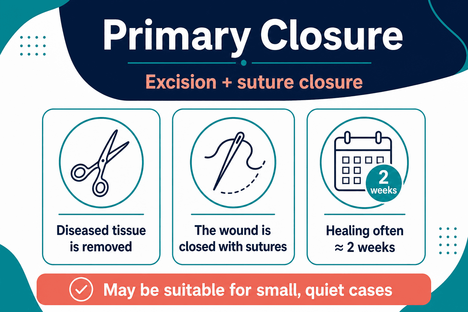Primary closure — educational figure