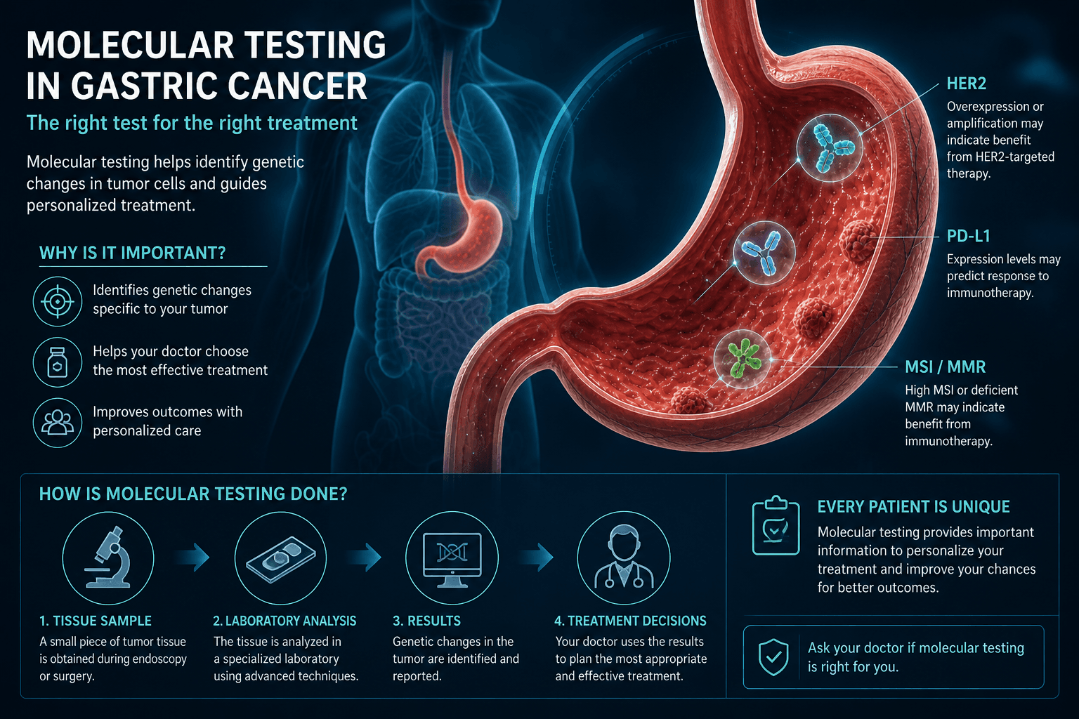 Molecular testing in gastric cancer — educational figure