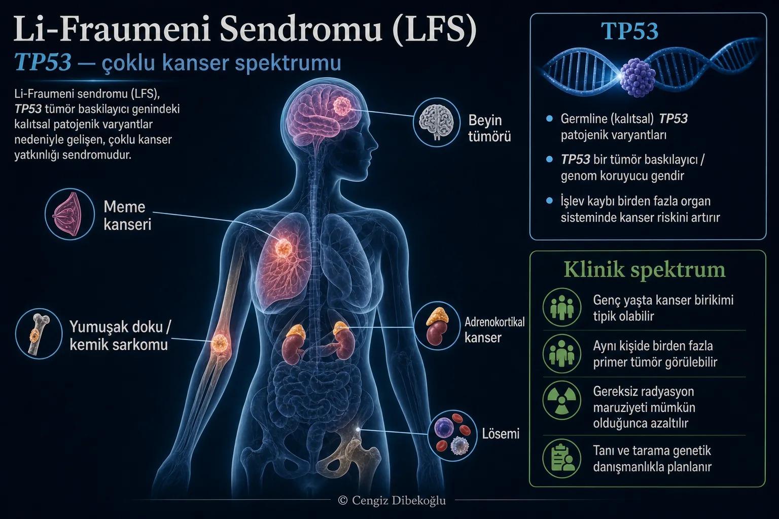Li-Fraumeni