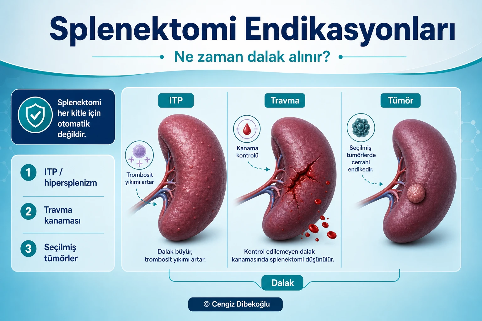 Endikasyonlar