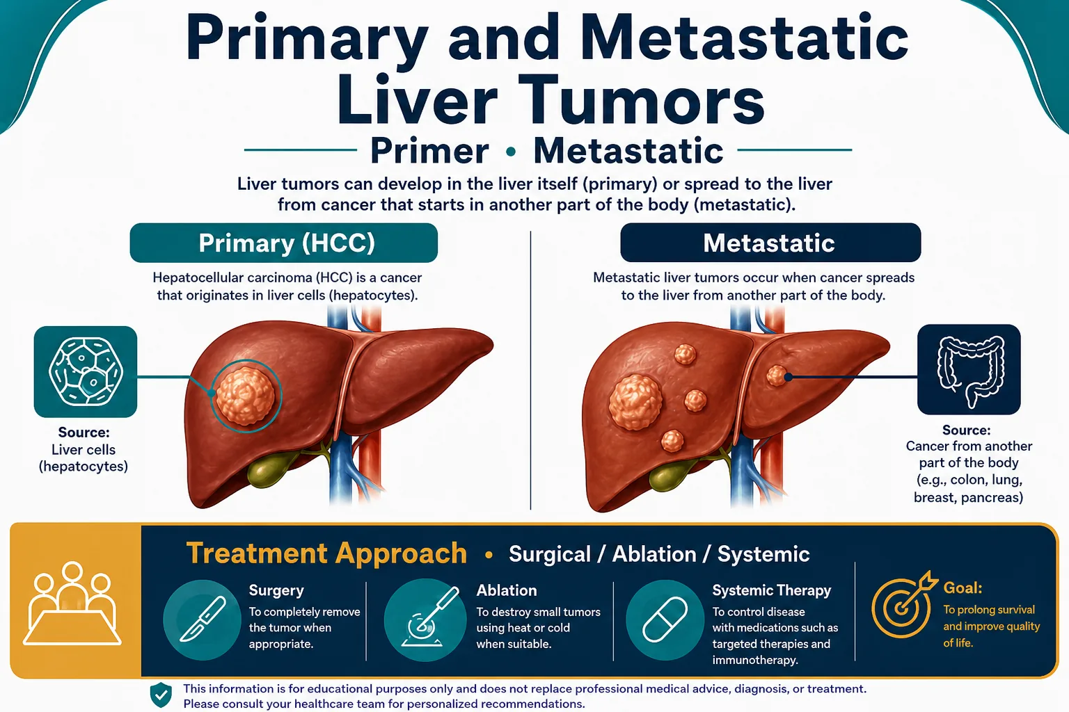 3D diagram: Tumors — liver tumors