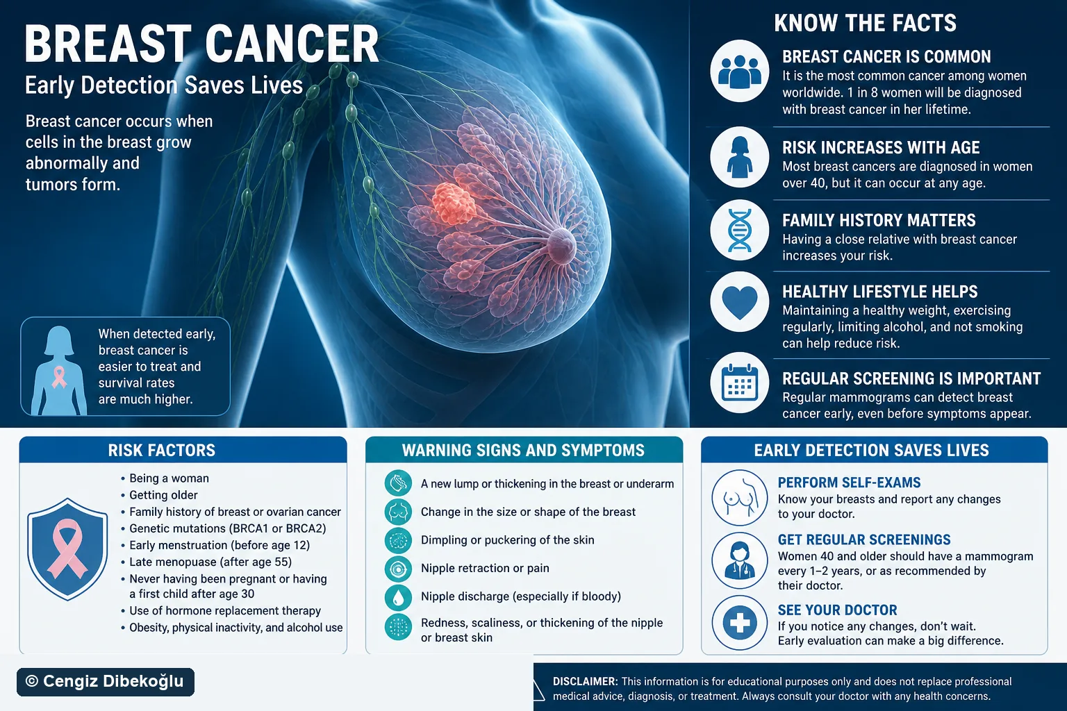 3D diagram: Cancer — breast cancer