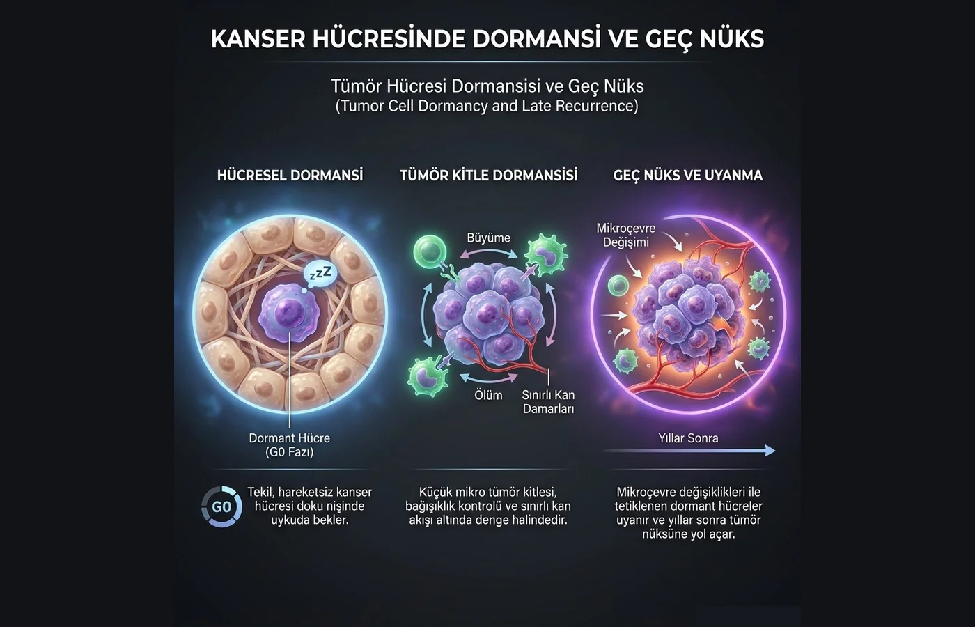 Şema: hücresel dormansi (G0), tümör kitle dormansisi, geç nüks ve uyanma