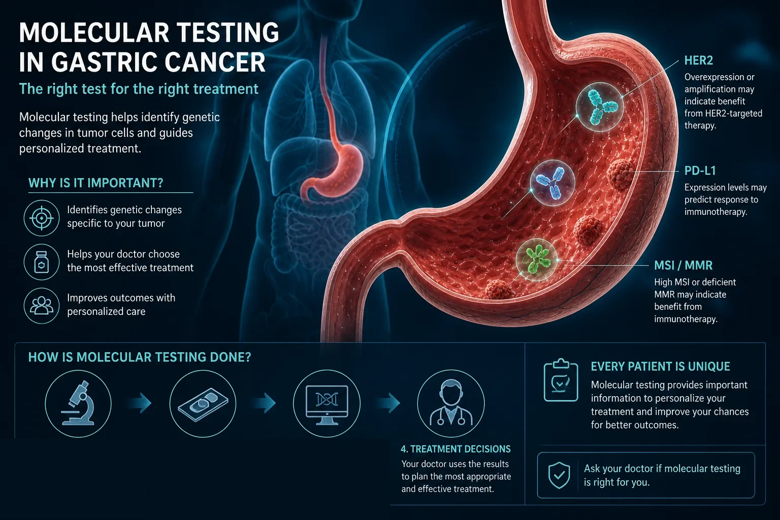 3D diagram: Gastric — molecular testing in gastric cancer